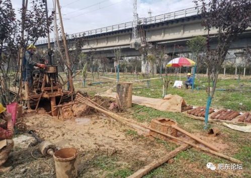 沿江高鐵肥東段迎關鍵節點 店埠河特大橋啟動勘測，為2020年開工建設鋪路